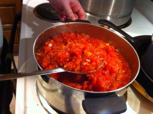 Heat the salsa mixture at a simmer for 20 minutes. 